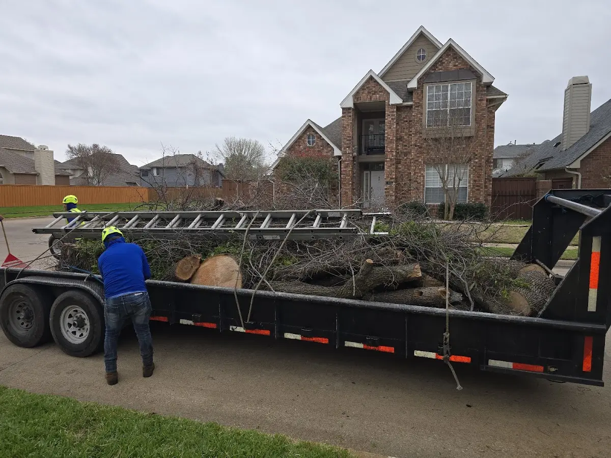 Expert Lot Clearing with proper safety equipment in Reynoldsville